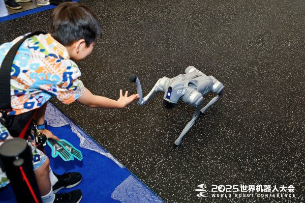 亿元订单初始涌入，但机器东说念主只是靠饰演维持不了这个赛说念