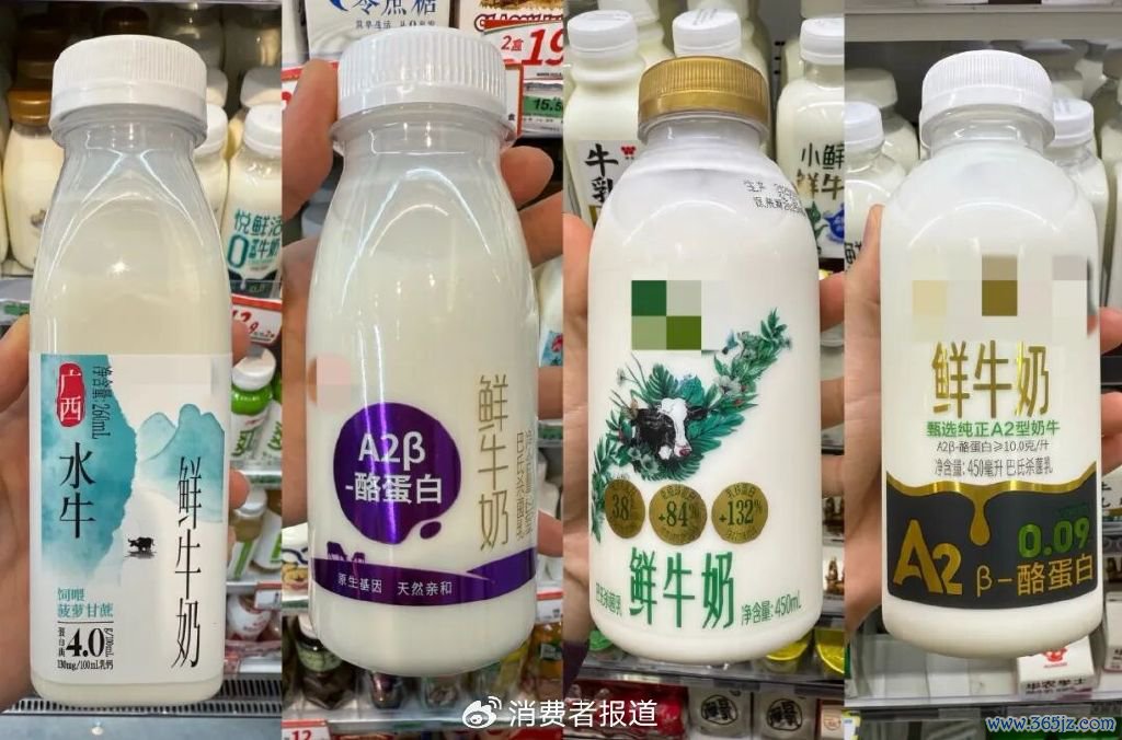 ▲各种高端鲜牛奶 《滥用者报谈》记者摄